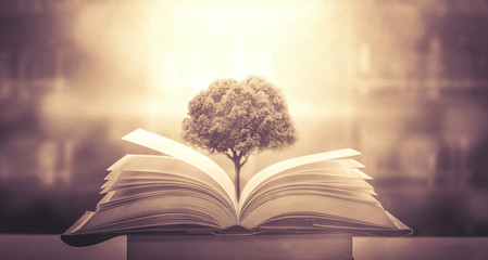 两个人互相暗恋有什么特征？