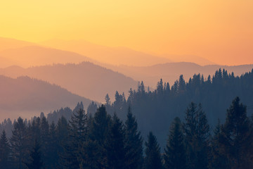 二年级一班最简单的手抄报 最简单的手抄报