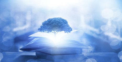 福州坐地铁必去十大景点