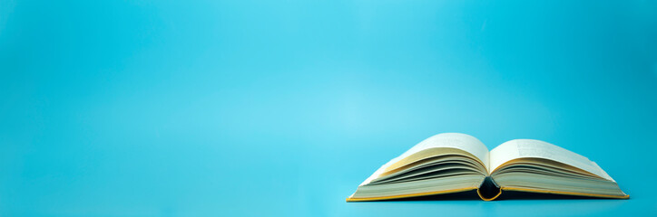 汉朝第11任皇帝汉元帝简介