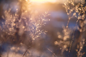 求20个最难的脑筋急转弯