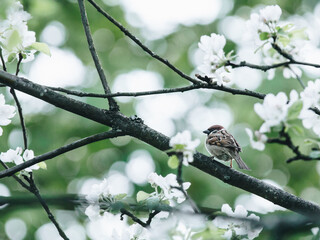 两个人互相暗恋有什么特征？