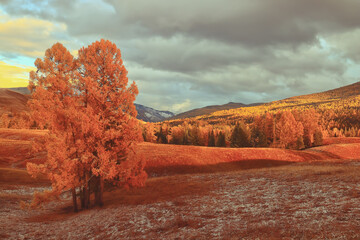 二年级一班最简单的手抄报 最简单的手抄报