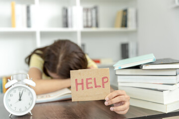 汉朝第11任皇帝汉元帝简介