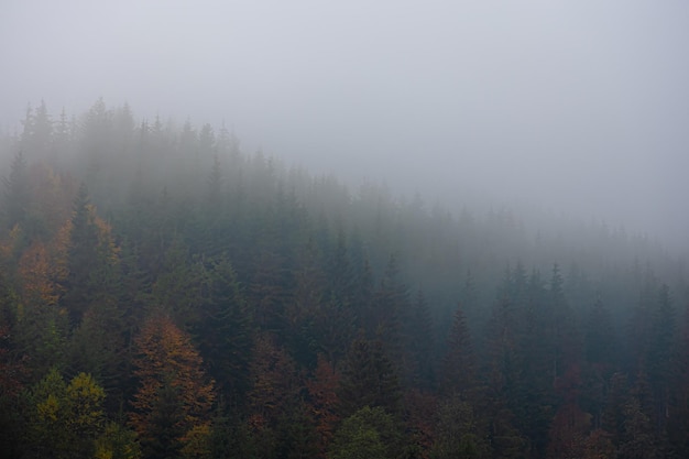 一些励志的句子