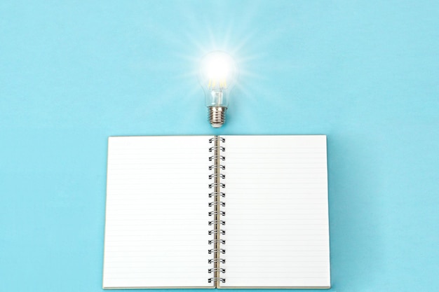 汉朝第11任皇帝汉元帝简介