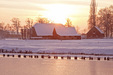 饮食健康手抄报简单