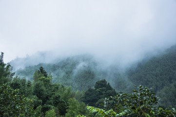 高一生物《细胞的分化》教学设计